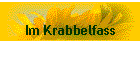 Im Krabbelfass